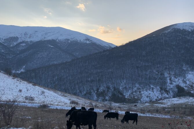 Ձմեռային Արոտների Պահուստավոր­ում