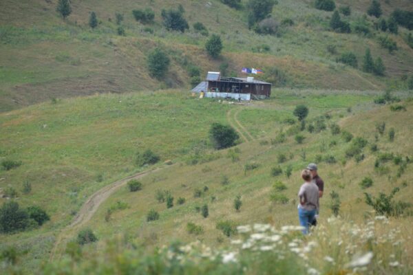 The Decline of Animal Husbandry in Armenia