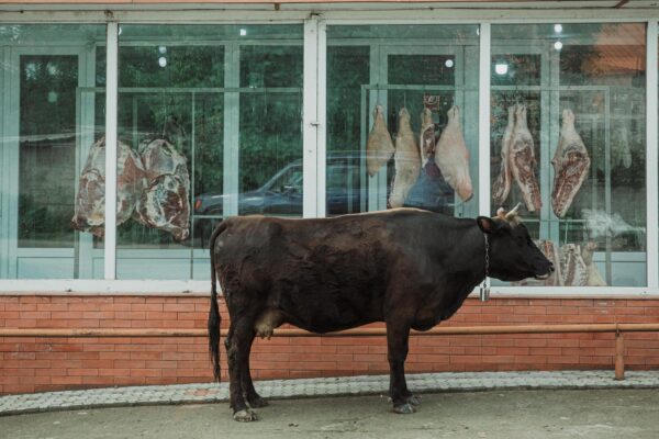 Մսակեր են արդյոք հայերը՝ այլ ազգերի համեմատ