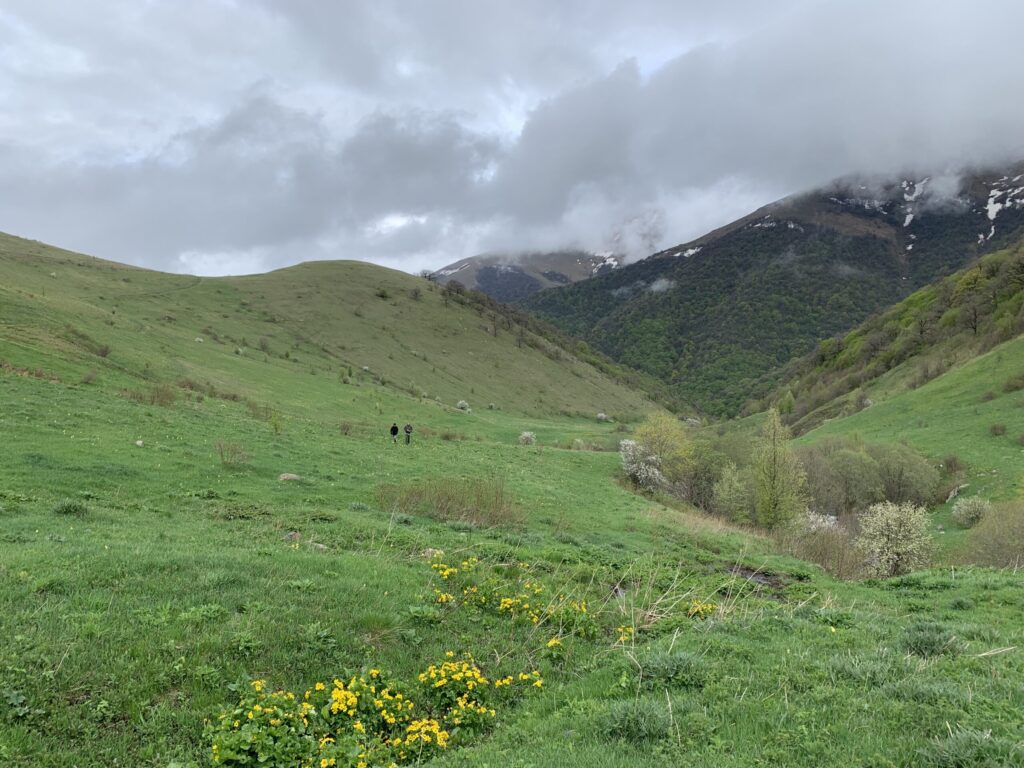 Spring Pasture Turnout at High Altitude: Mountain High Farms Approach (Dilijan, 1700 m – 2000 m)