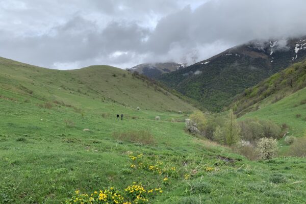 Spring Pasture Turnout at High Altitude: Mountain High Farms Approach (Dilijan, 1700 m – 2000 m)