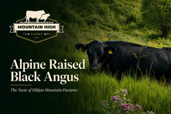 Alpine Raised Black Angus: The Taste of Dilijan Mountain Pastures